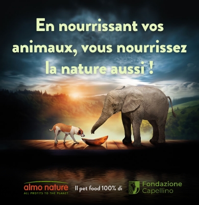 img1_head_slider_mobile_fr