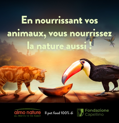 img3_head_slider_mobile_fr