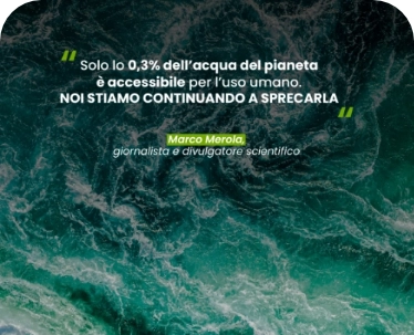 IT_Merola
